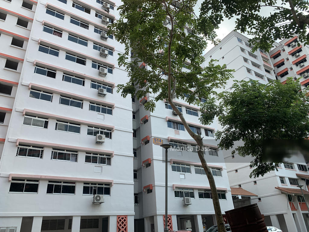 Blk 514 Choa Chu Kang Street 51 (Choa Chu Kang), HDB 5 Rooms #256506561